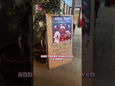 I went to Marina Market in Cork docklands at Christmas #cork #ireland #vlogger #christmasmarkets
