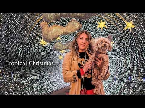 #57 Christmas Magic on Madeira Island: Walking Through Lights & Wonders 