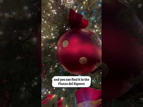 Can't Miss Christmas Market in Italy! #christmasmarkets #christmasineurope #verona #veronaitaly