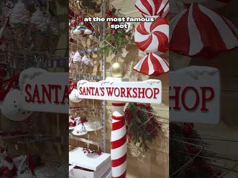 5 things to do in Bergen, Norway this December!