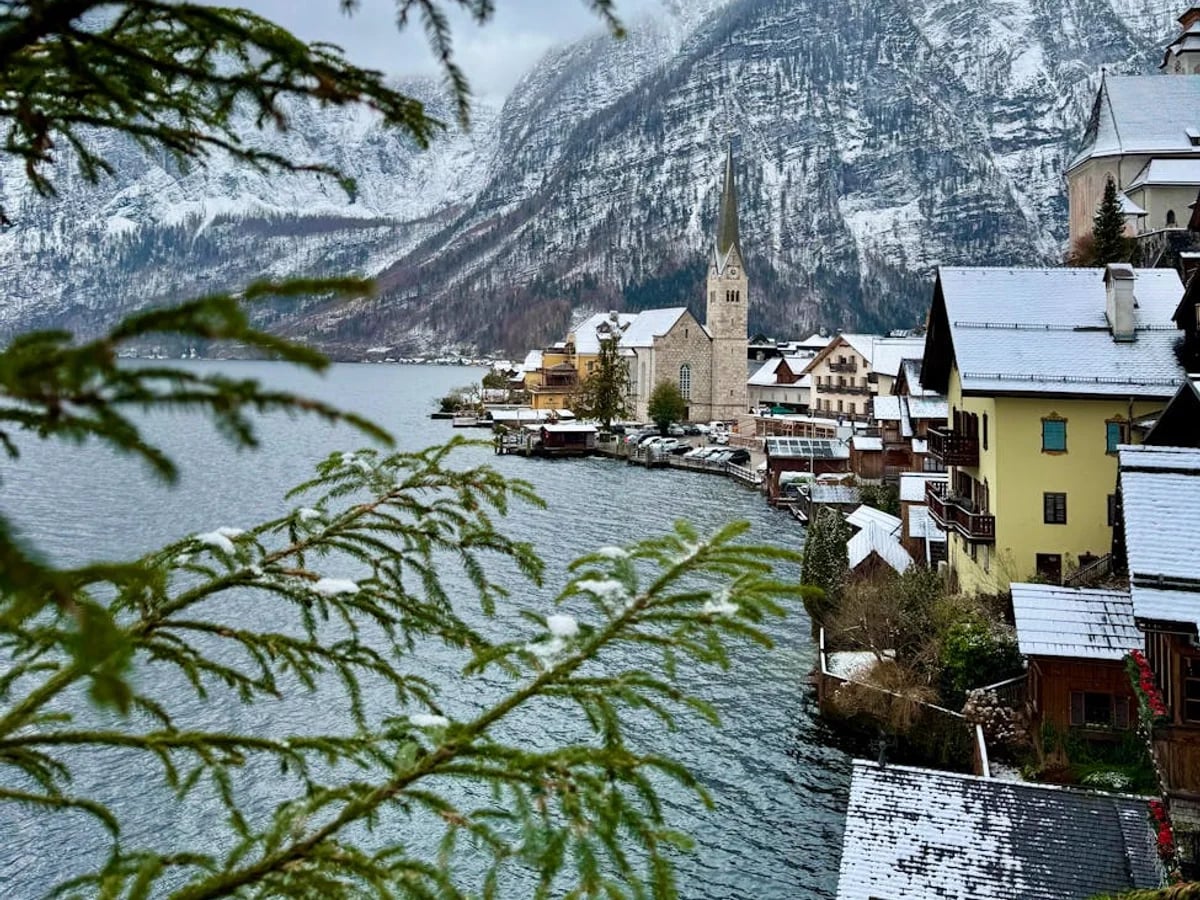 Hallstatt iconic church steeple framed by evergreen branches in winter