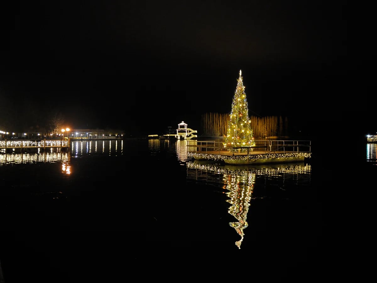Klagenfurt serene lakeside Christmas tree reflection winter evening