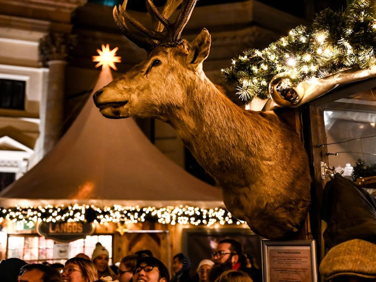 Leuven golden reindeer sculpture shines at the festive Christmas market