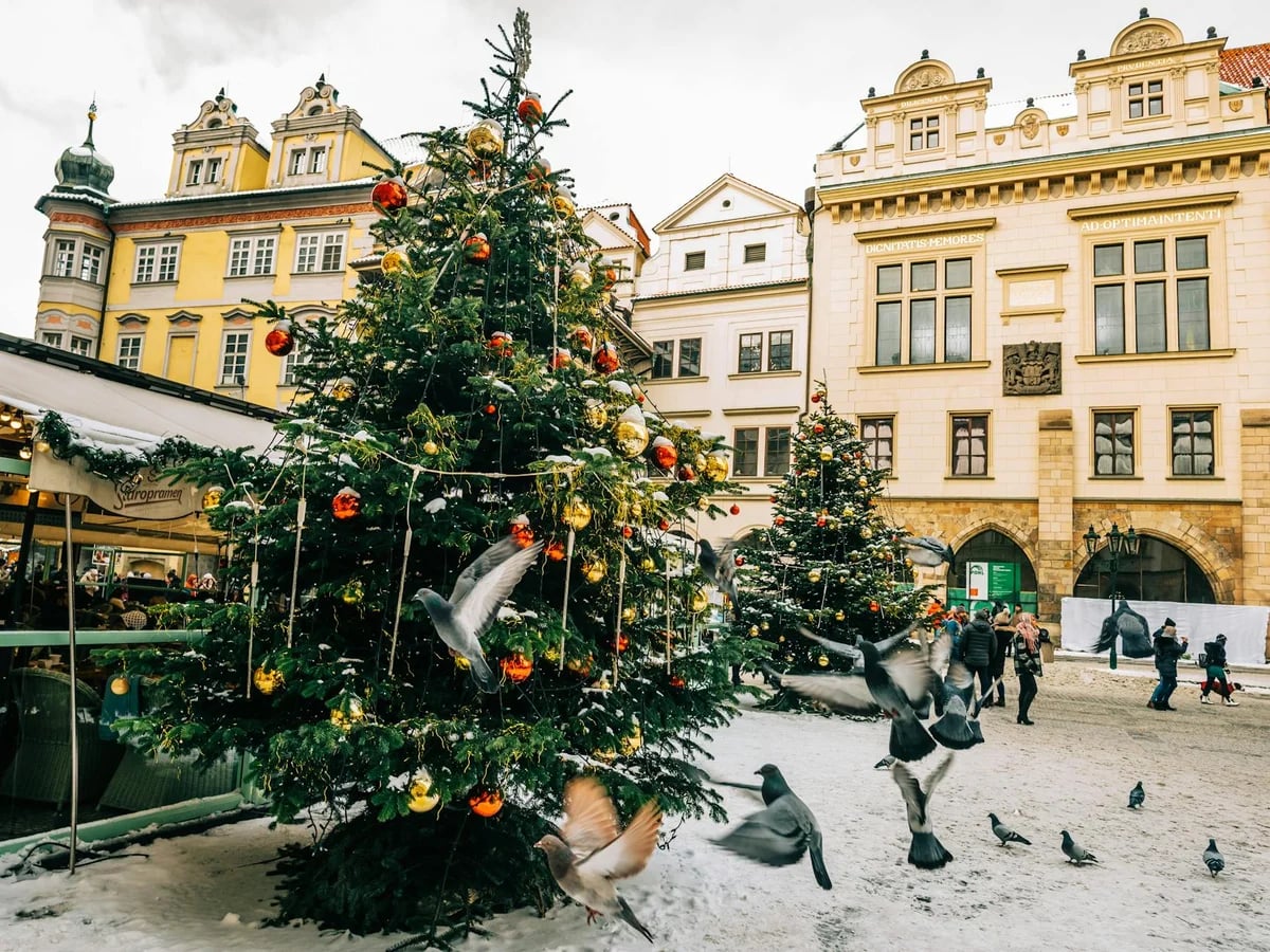 Prague Christmas market with a festive tree and historic baroque architecture in winter