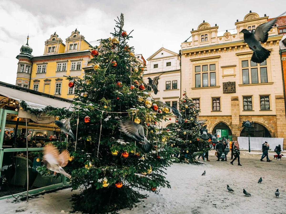 Prague Old Town Square adorned with Christmas decorations in winter