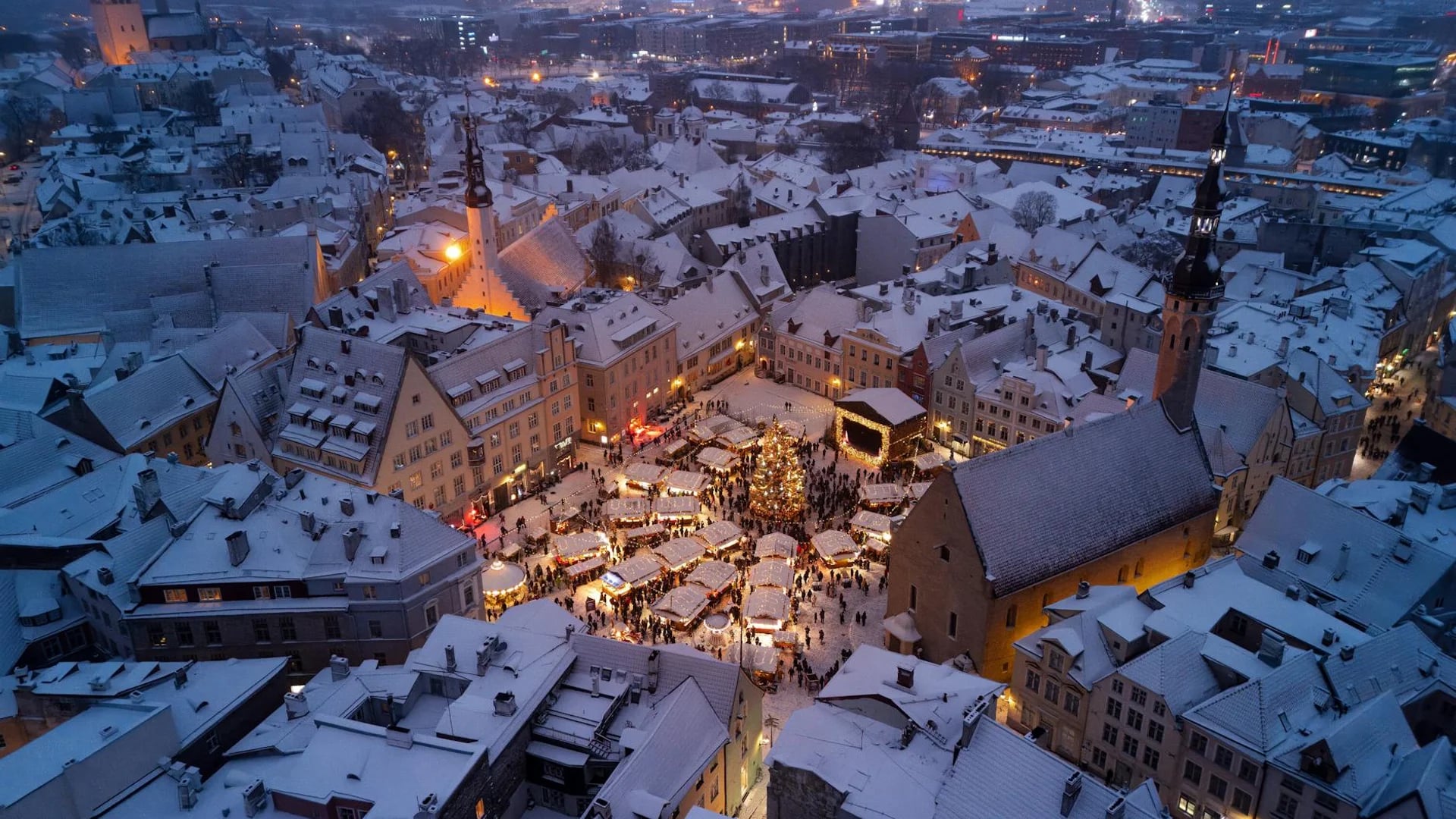 Tallinn's stunning Old Town illuminated by Christmas lights in winter