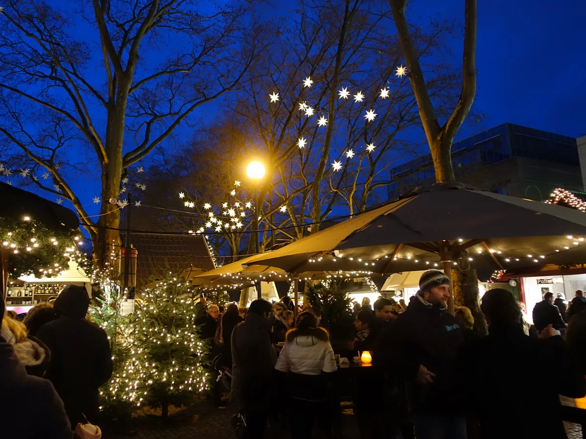 Cologne magical blue-hour Christmas market scene with star decorations