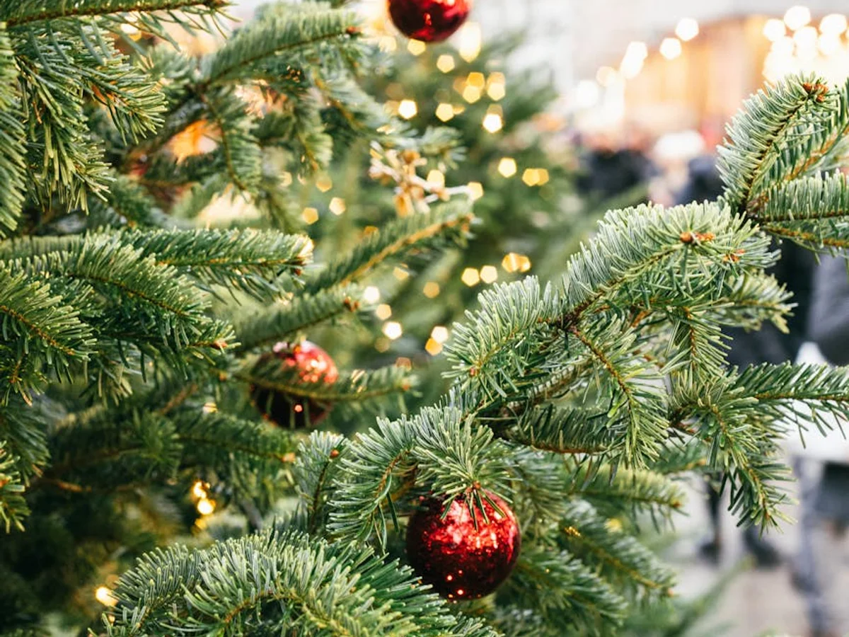 Munich closeup of beautifully decorated Christmas tree with warm lights