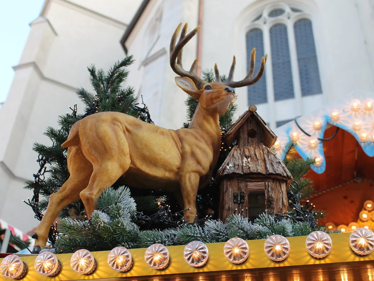 Lucreziamarkt - Haidplatz golden reindeer display in Regensburg with Gothic cathedral backdrop