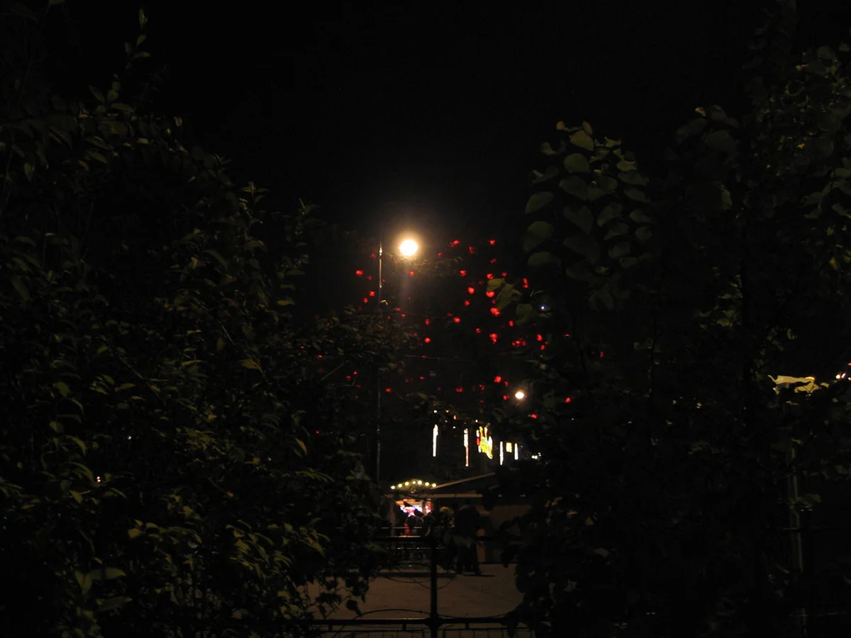 ventsmarkt enchanting courtyard lights in Regensburg Christmas market at Spitalgarten, warm festive atmosphere