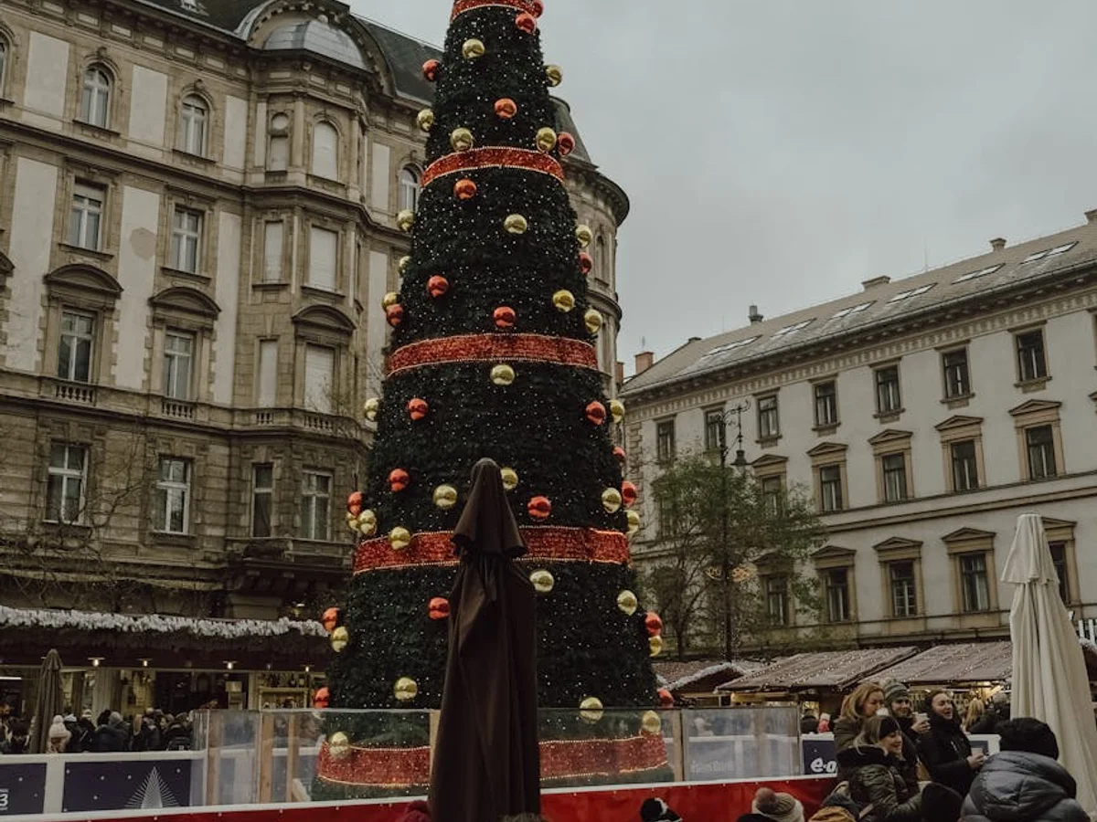 Budapest towering Christmas tree against historic architecture in winter
