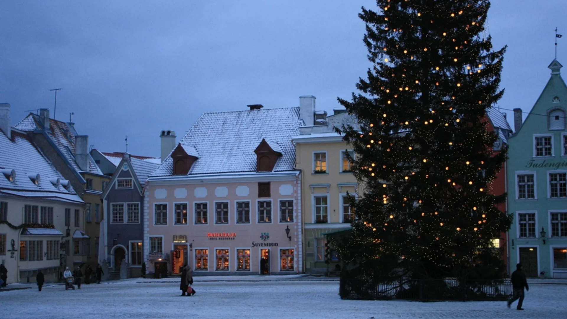 Toruński Jarmark Bożonarodzeniowy glowing Christmas tree Torun magical twilight Old Town Market Square