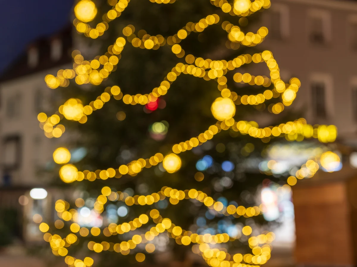 Toruński Jarmark Bożonarodzeniowy Christmas tree glowing in Torun's Old Town Market Square at twilight