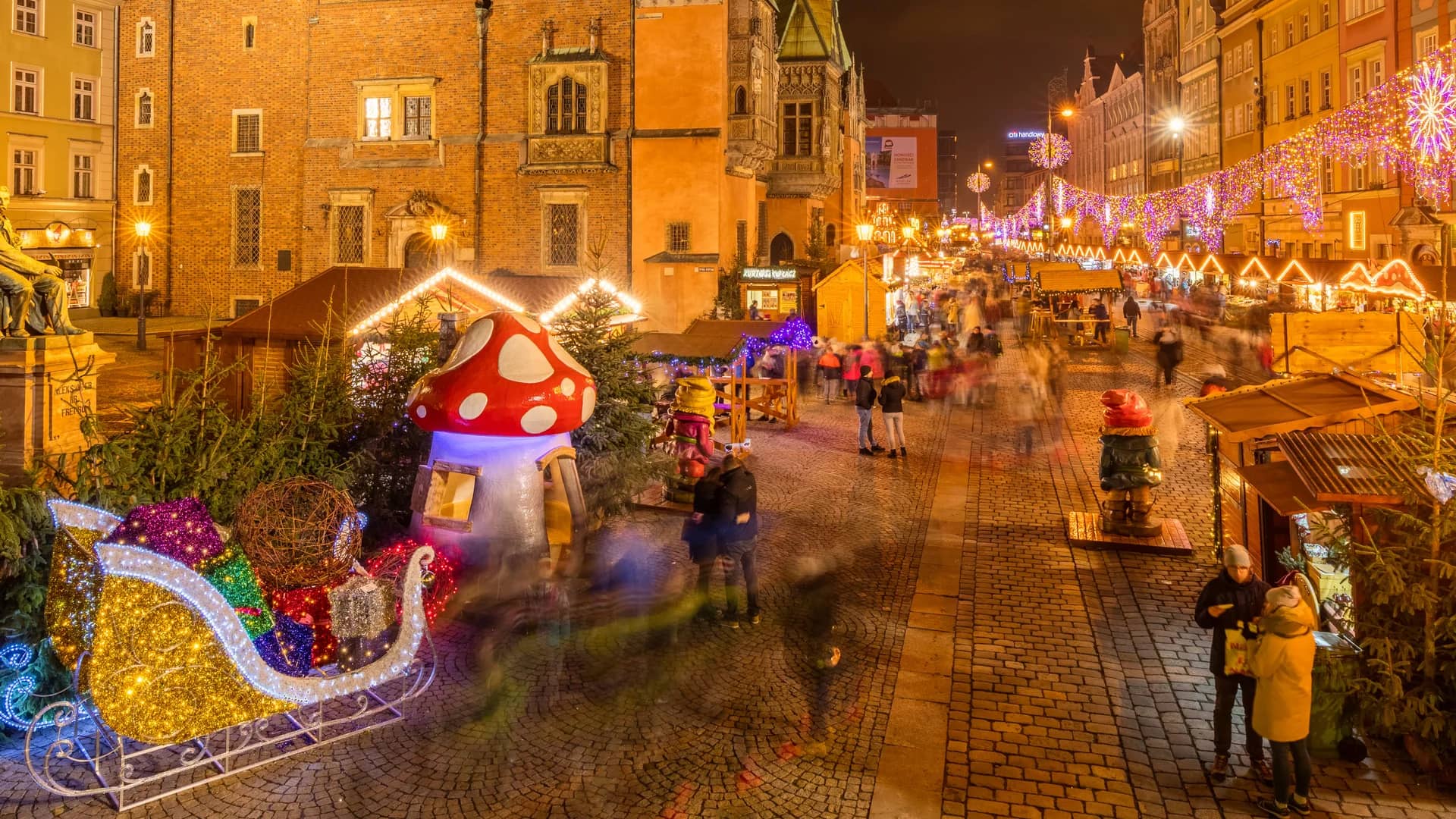 Wroclaw Town Hall illuminated at twilight during the Christmas season