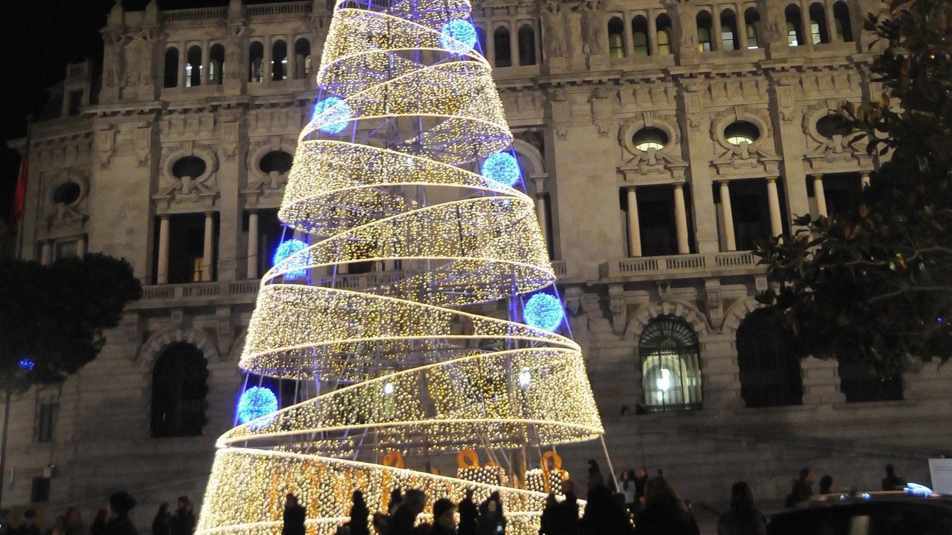 Porto stunning Christmas tree and illuminated City Hall at night