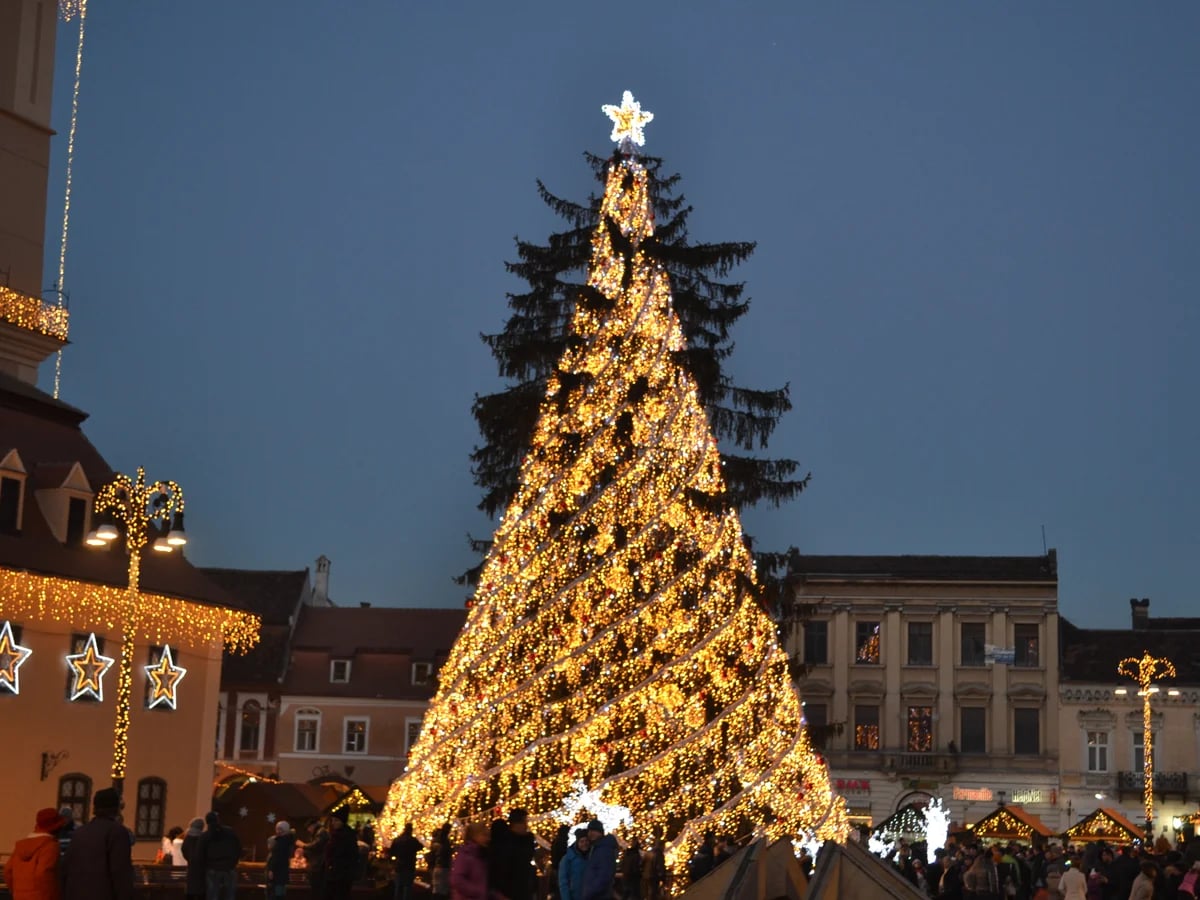 Brasov illuminated Christmas tree in Piata Sfatului during winter twilight