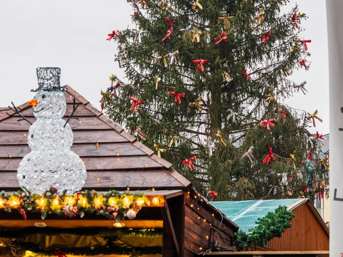 Oradea vibrant Christmas tree adorned with red and gold ribbons in winter market atmosphere