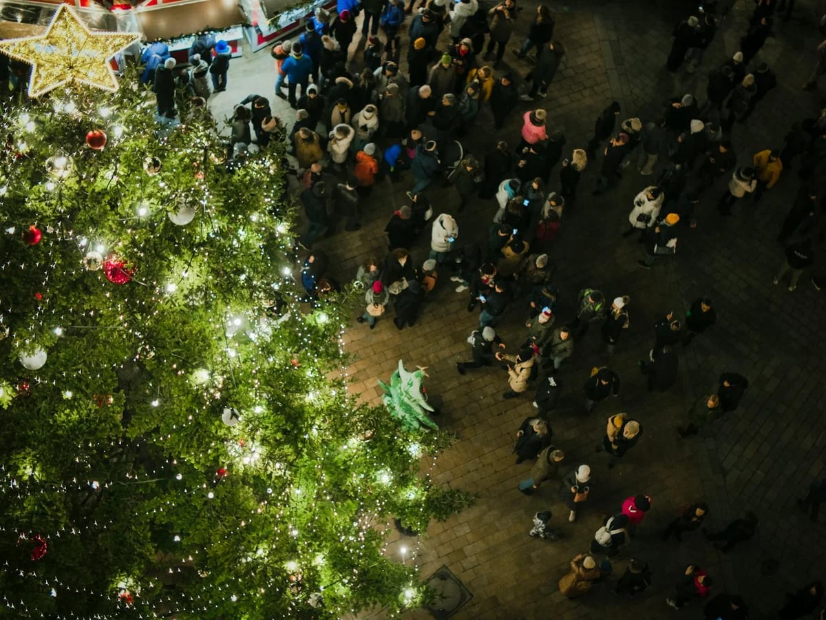 Bratislava illuminated tree at a bustling Christmas market in winter