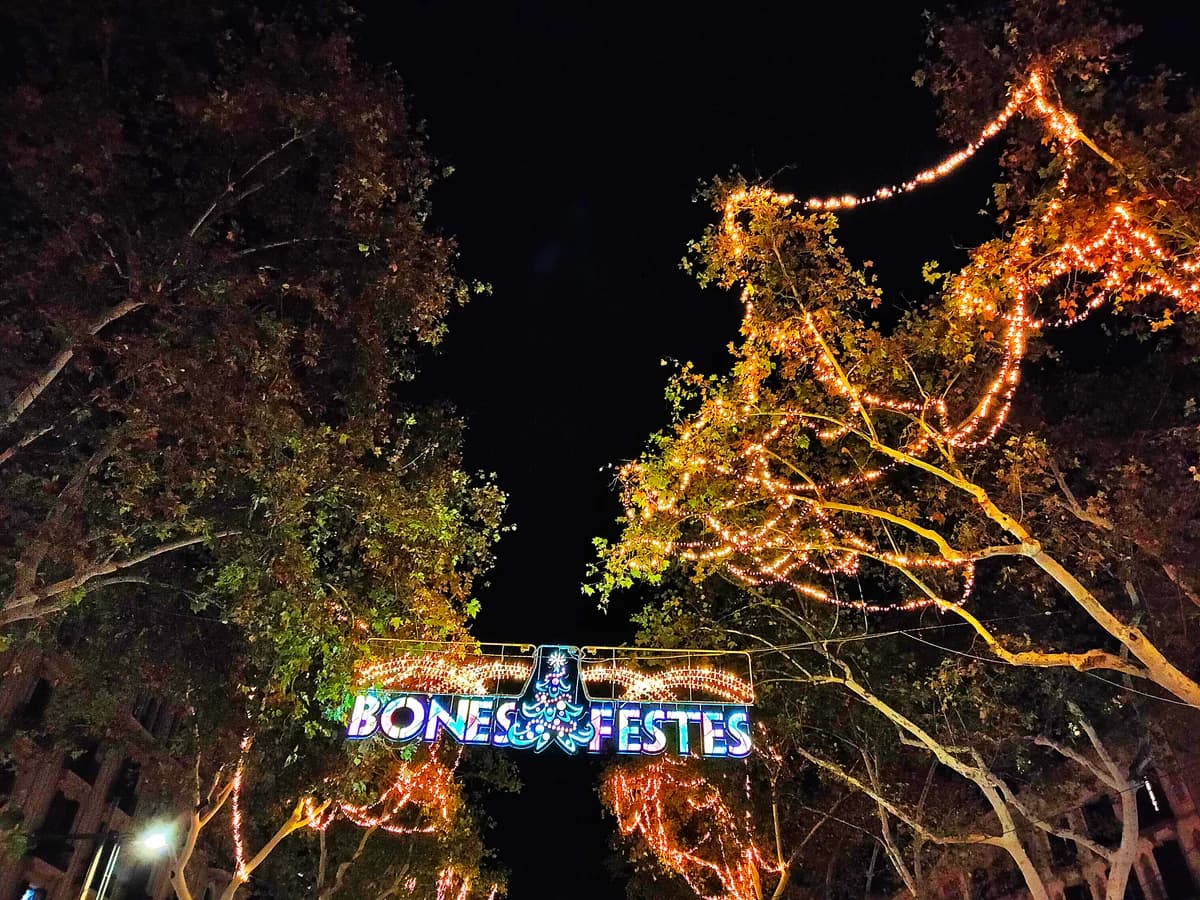 Barcelona La Rambla's festive plane trees illuminated during winter season