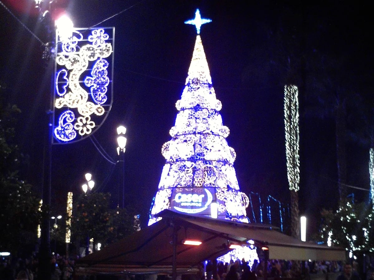 Seville illuminated Christmas tree shines brightly in winter evening