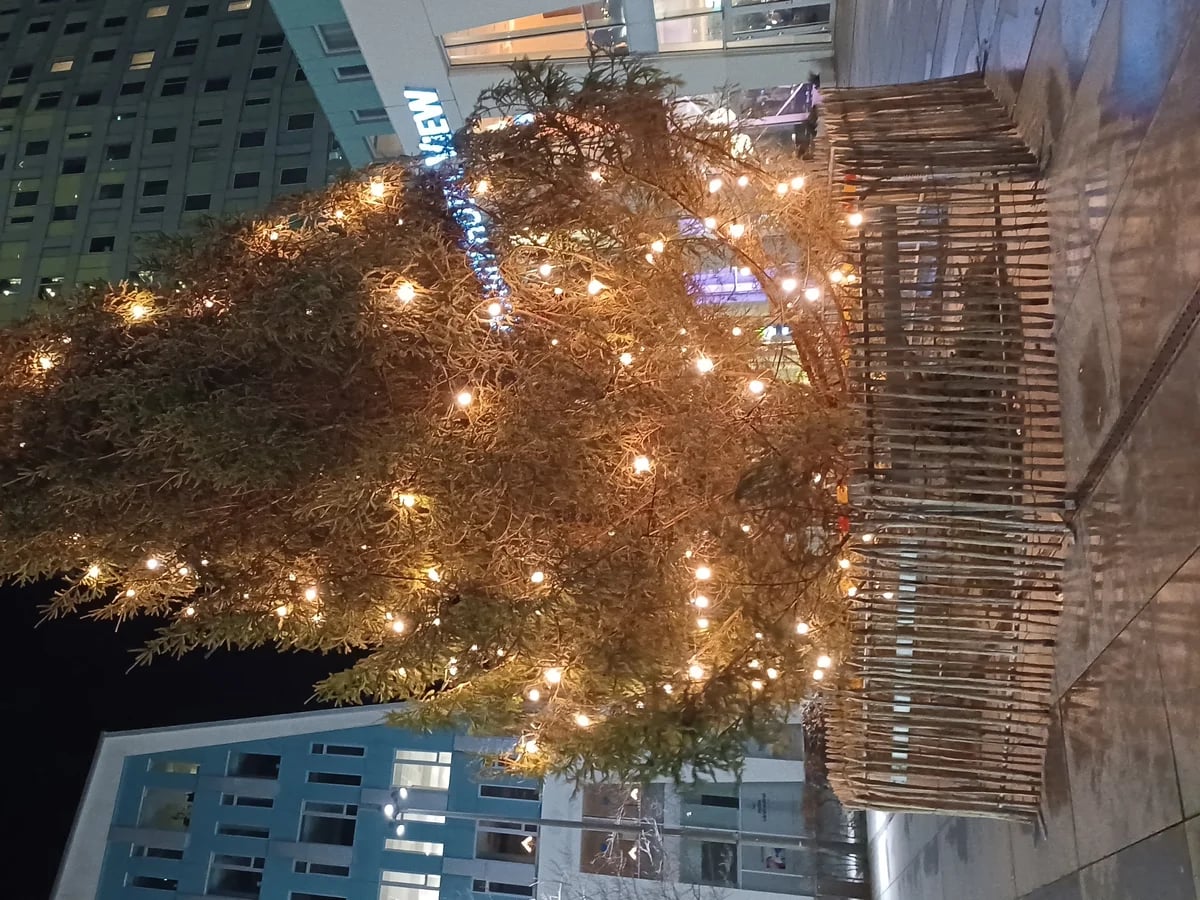 Malmö Christmas tree radiates warmth against modern winter skyline